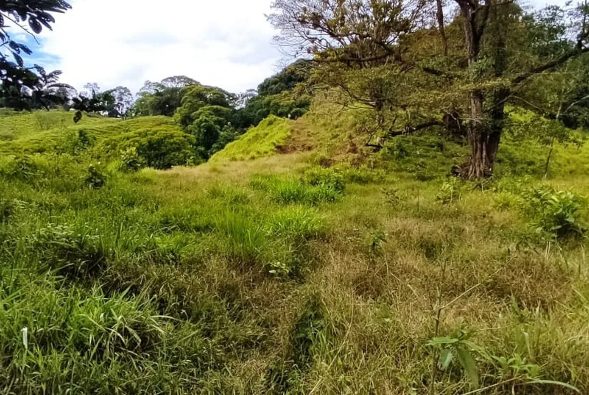 PROPERTY WITH MOUNTAIN VIEW, IN TRES RIOS – 66.7 ACRES, photo 24