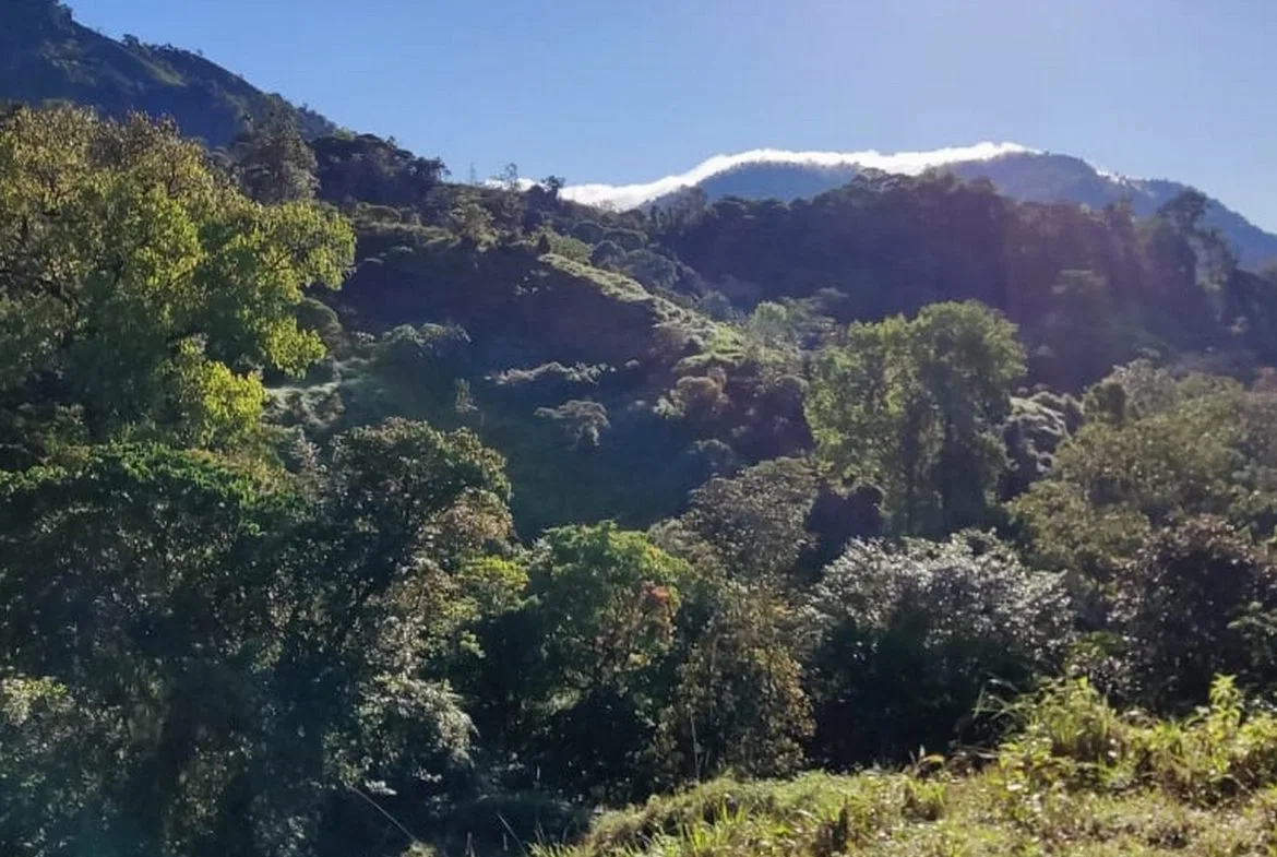 PROPERTY WITH MOUNTAIN VIEW, IN TRES RIOS – 66.7 ACRES, photo 4