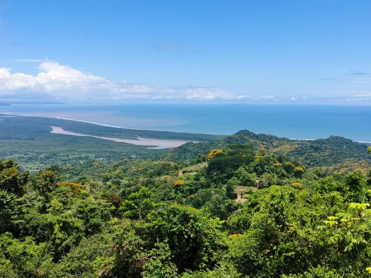PROPERTY WITH MOUNTAIN VIEW, IN TRES RIOS – 66.7 ACRES, photo 5