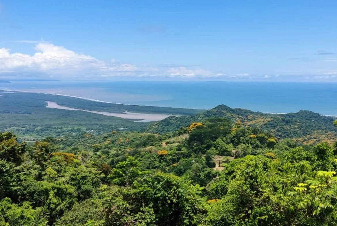 PROPERTY WITH MOUNTAIN VIEW, IN TRES RIOS – 66.7 ACRES, photo 6