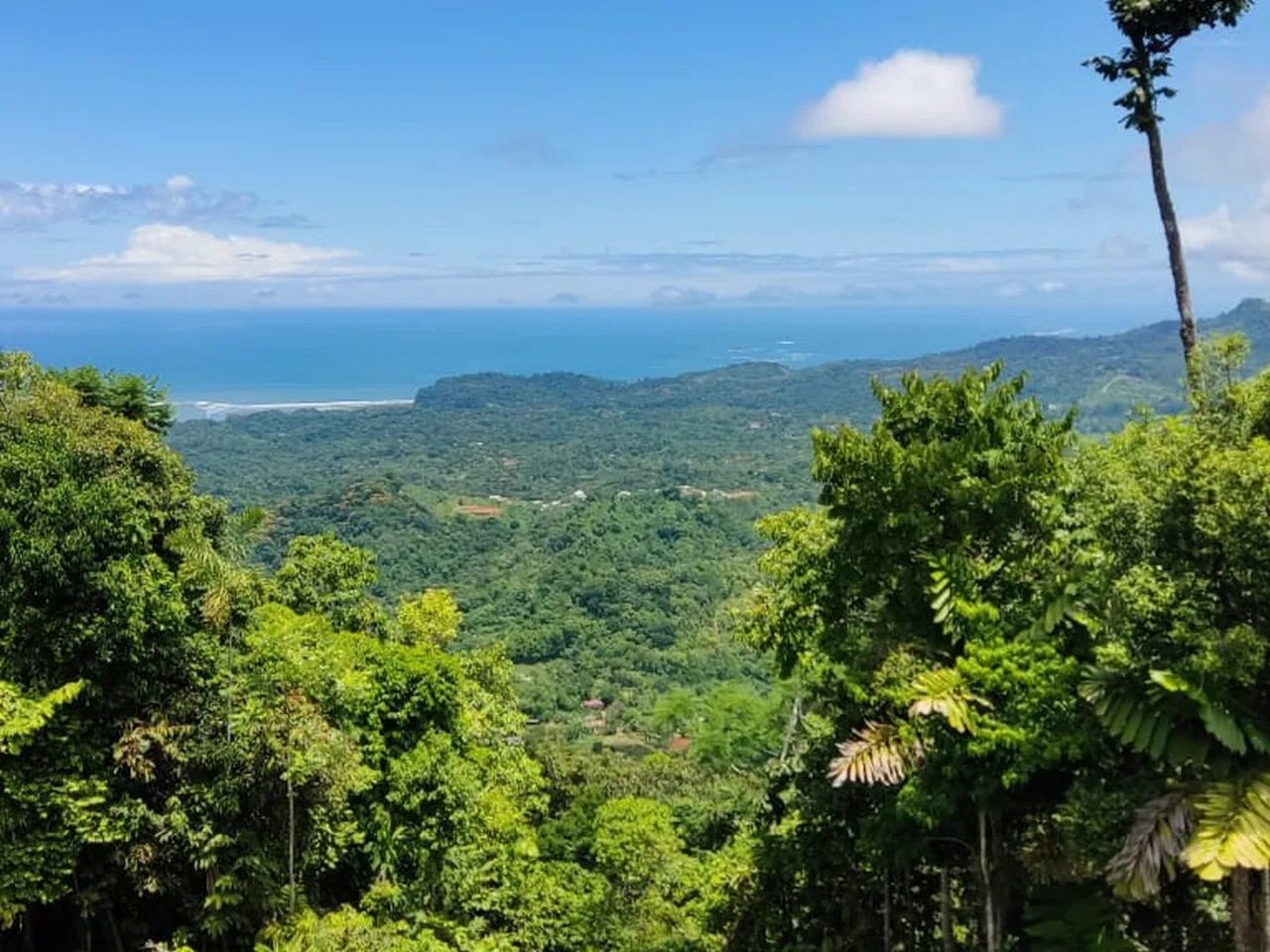 PROPERTY WITH MOUNTAIN VIEW, IN TRES RIOS – 66.7 ACRES, photo 7