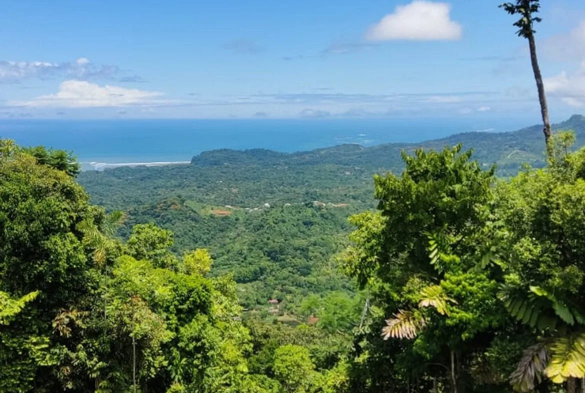 PROPERTY WITH MOUNTAIN VIEW, IN TRES RIOS – 66.7 ACRES, photo 8