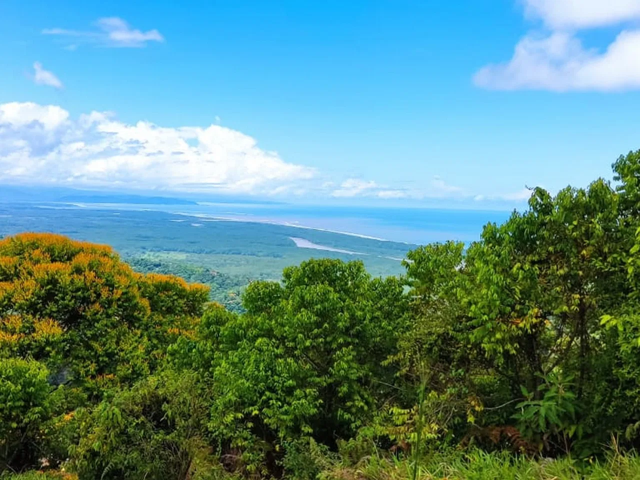 PROPERTY WITH MOUNTAIN VIEW, IN TRES RIOS – 66.7 ACRES, photo 9