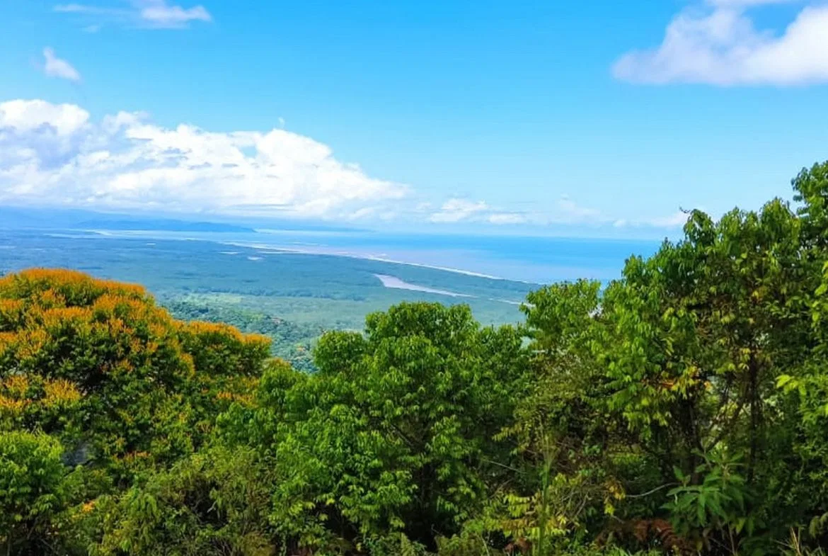 PROPERTY WITH MOUNTAIN VIEW, IN TRES RIOS – 66.7 ACRES, photo 10