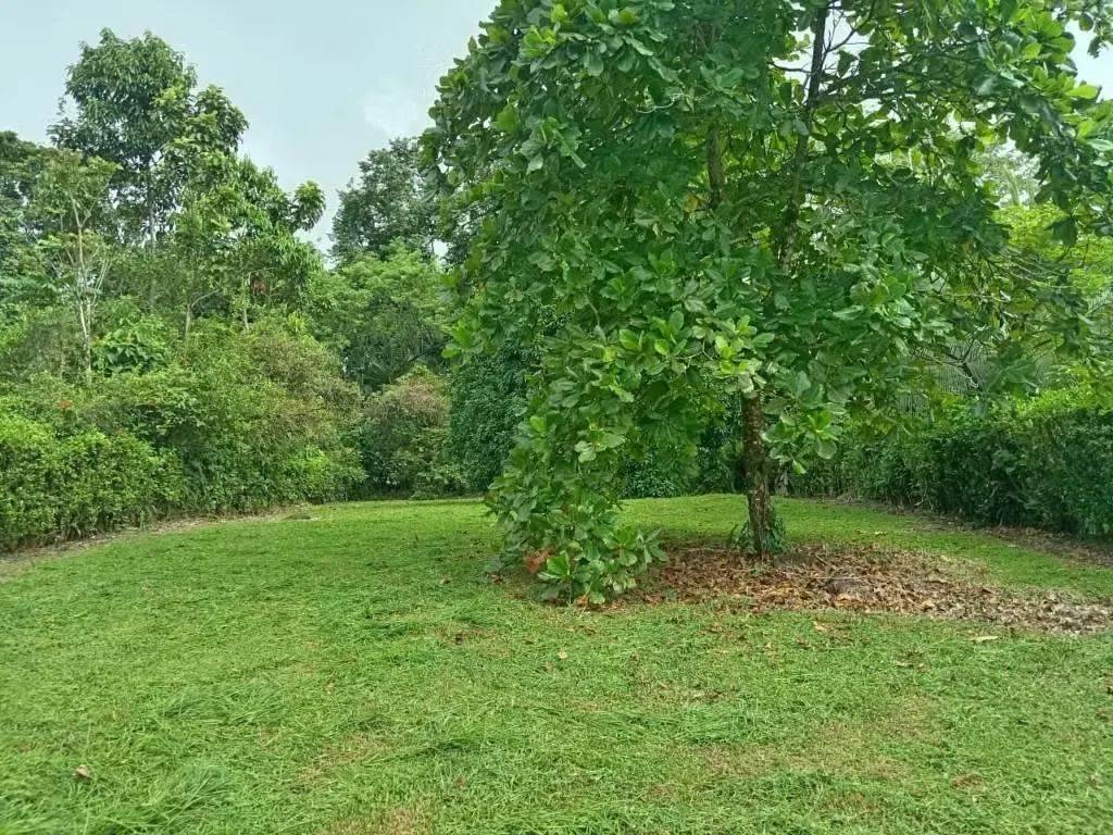 Se vende hermoso lote de 725 mtrs ubicado en el proyecto Sol y Luna lote 65 tiene varios árboles frutales ya cosechando ideal para construir una cabaña sin el ruido de la ciudad con ...
