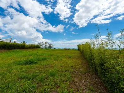 Stunning Ocean View Lot in Ojochal Phase 5 | 950 m² Prime Land Near Playa Ventanas, photo 6
