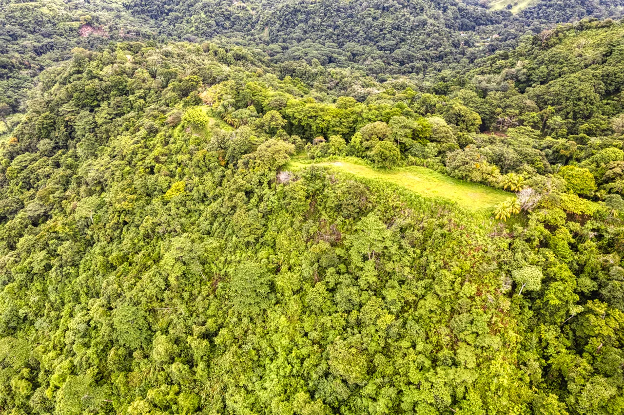 Coronado Estates Lot 4, photo 10