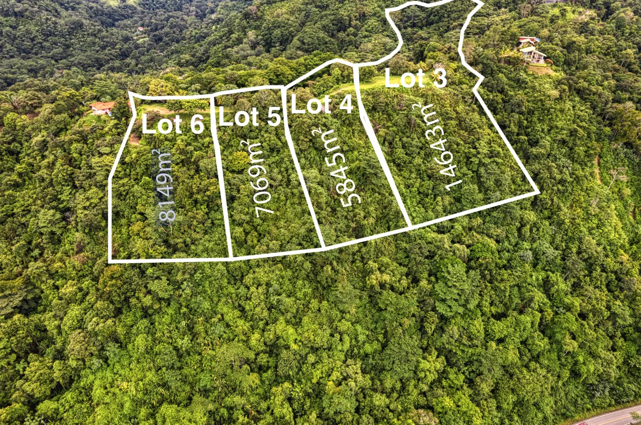 Coronado Estates Lot 6, photo 2