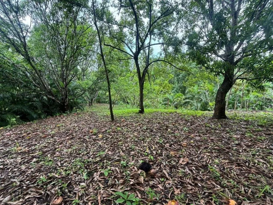 Venta de Lote en Orotina de Alajuela. RAH 26-744 - Venta en Orotina