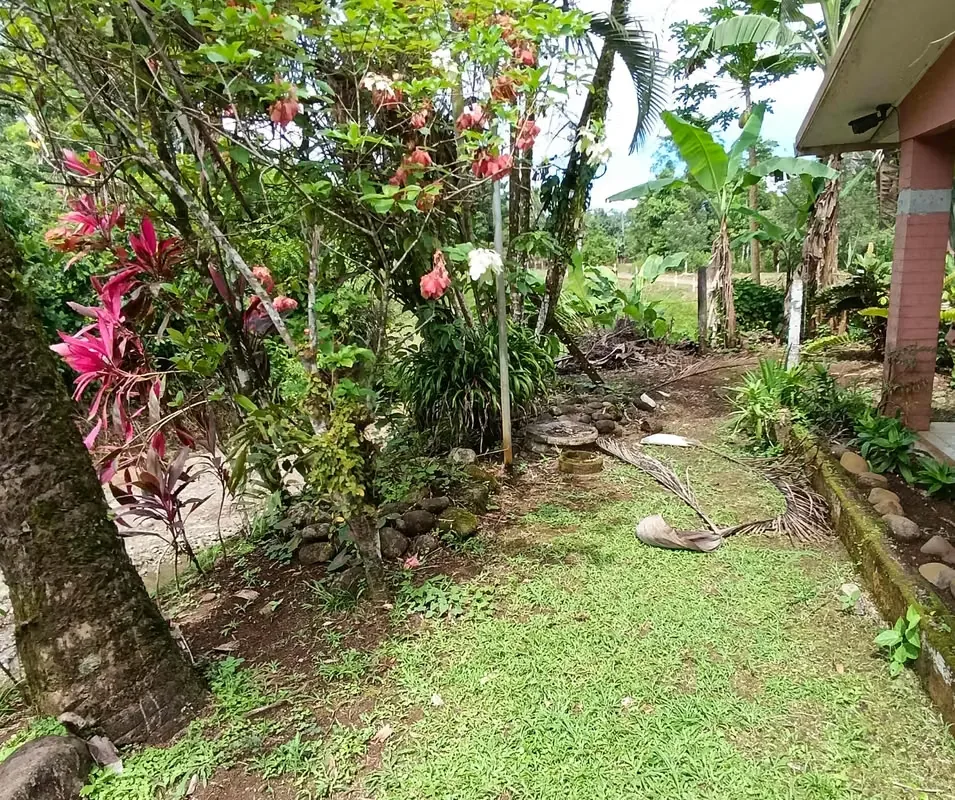 Linda Propiedad con casa ubicada en San Isidro de Peñas Blancas de San Ramón a 800 metros del ..., photo 6