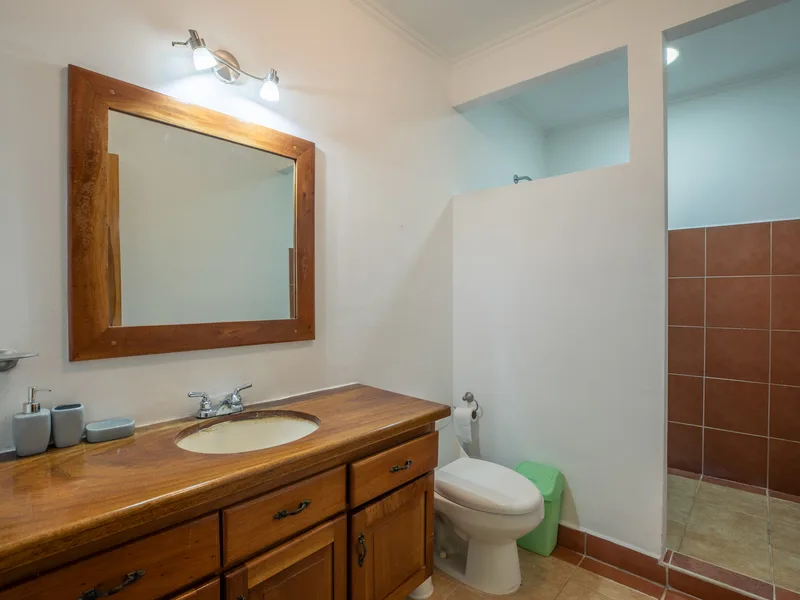 3 Bed Single Family Homes For Sale in Nosara, photo 15