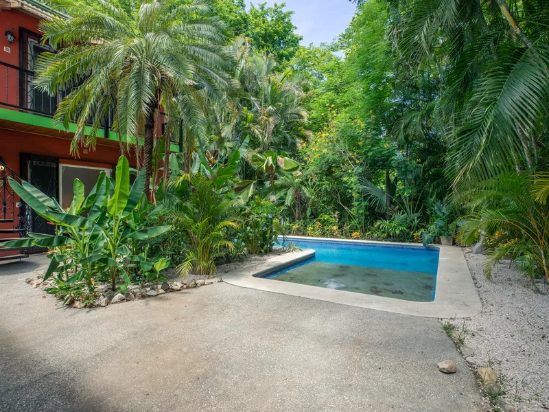 3 Bed Single Family Homes For Sale in Nosara, photo 4
