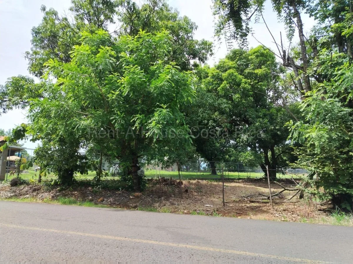 Venta de terreno plano con anteproyecto residencial #26-2228 GS - Venta en San Mateo