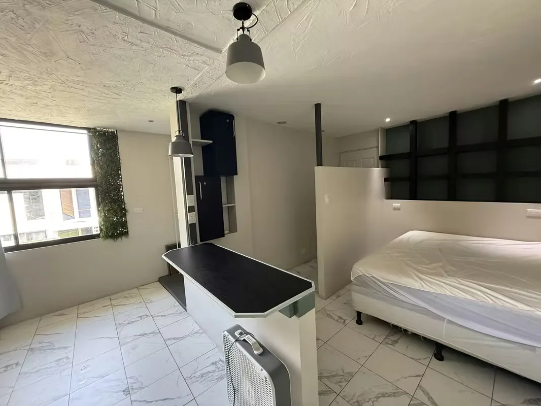 Furnished 1-Bedroom Apartment for Rent in Barrio Dent, photo 5