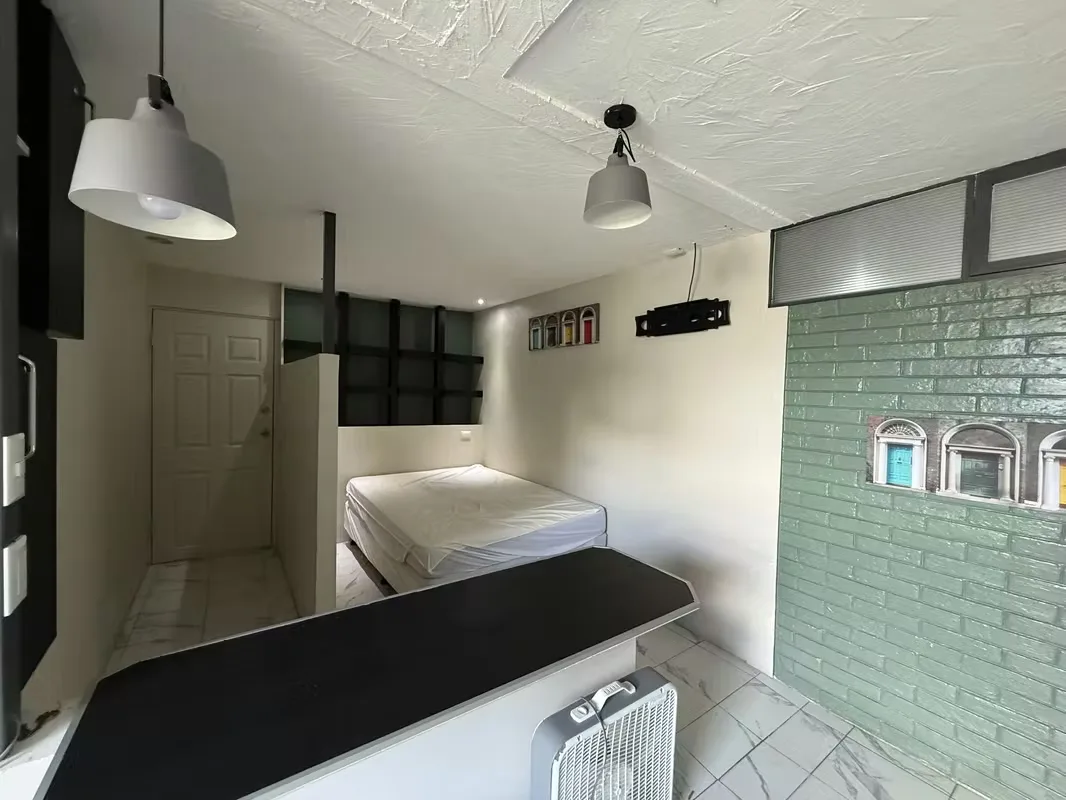 Furnished 1-Bedroom Apartment for Rent in Barrio Dent, photo 6