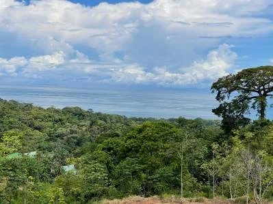 Ocean View Development Property With Legal Water, Public Road, 5 Min From Highway!!!!!, photo 4