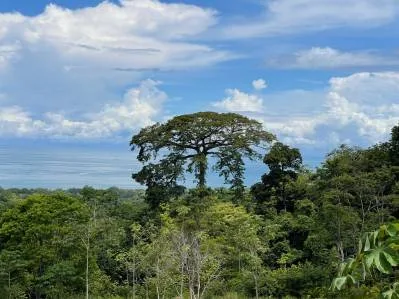 Ocean View Development Property With Legal Water, Public Road, 5 Min From Highway!!!!!, photo 5