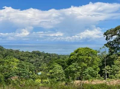Ocean View Development Property With Legal Water, Public Road, 5 Min From Highway!!!!!, photo 6