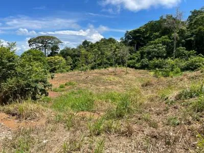 Ocean View Development Property With Legal Water, Public Road, 5 Min From Highway!!!!!, photo 8