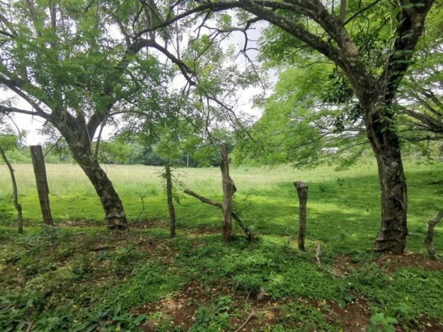 Venta de Lote en Mora, San José. - Venta en Mora