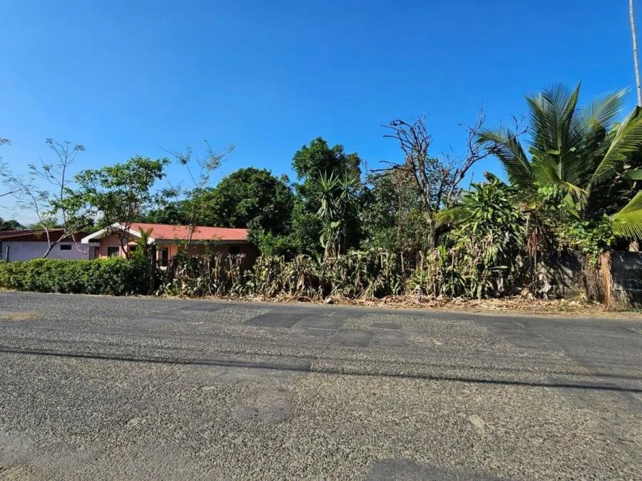 Venta de Lote de 1227 m2 en Daniel Flores Pérez Zeledón MGA - Venta en Perez Zeledón