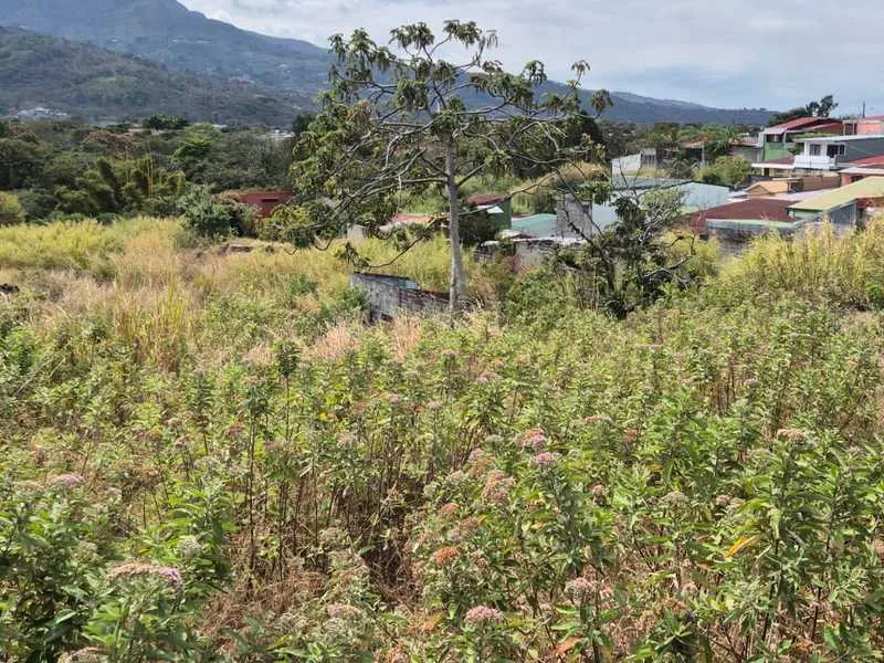 Land For Sale in Desamparados, photo 2