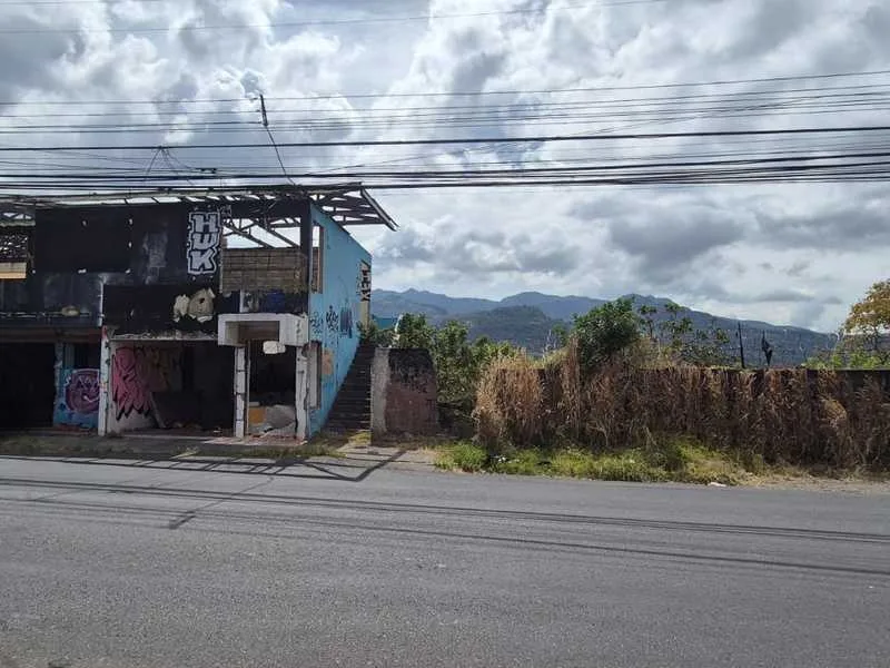 Land For Sale in Desamparados, photo 4