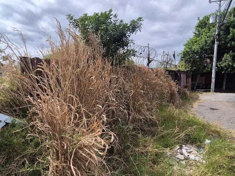 Land For Sale in Desamparados, photo 7
