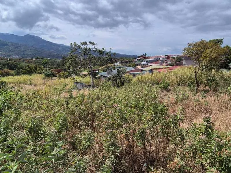Land For Sale in Desamparados, photo 8