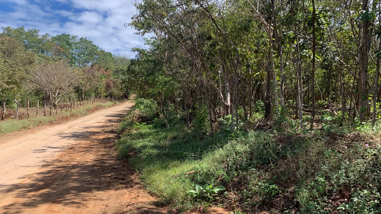Mixed-Use Lot in the heart of Playa Avellanas