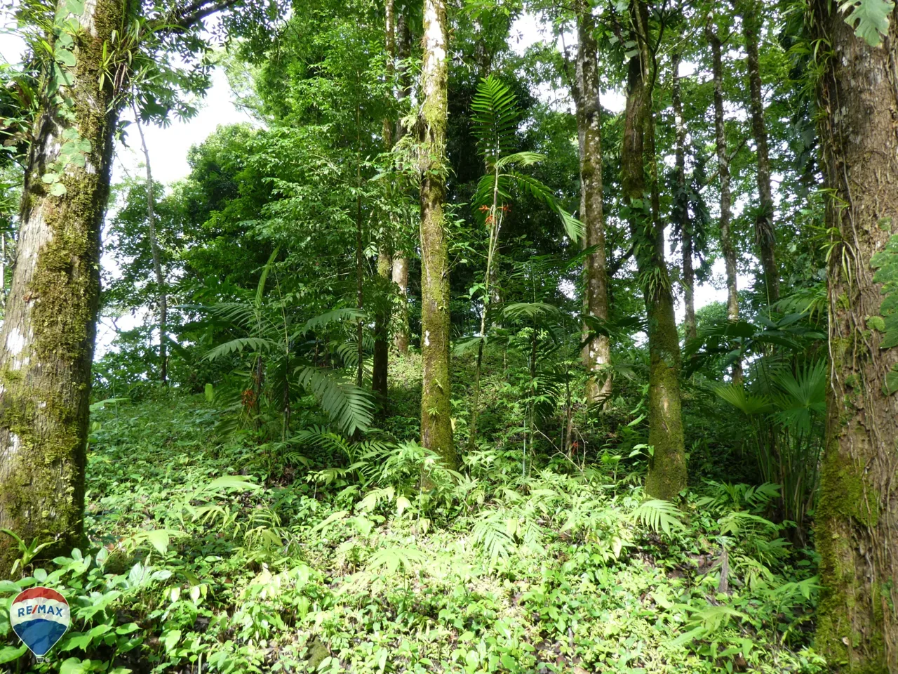Los Dos Cerros Lot
