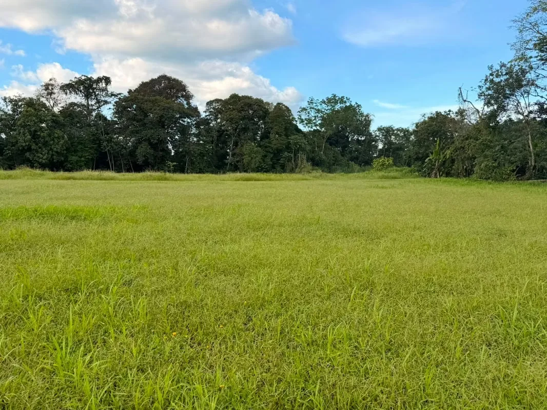 Exclusive lot for sale with view to the Arenal Volcano, San Carlos