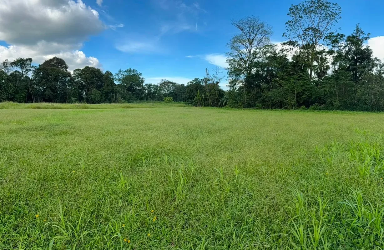 Exclusive lot for sale with view to the Arenal Volcano, San Carlos, photo 2
