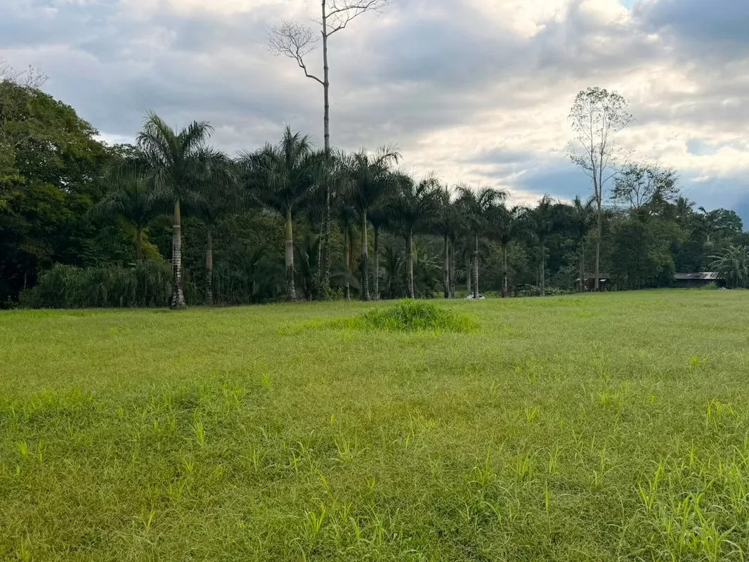 Exclusive lot for sale with view to the Arenal Volcano, San Carlos, photo 4