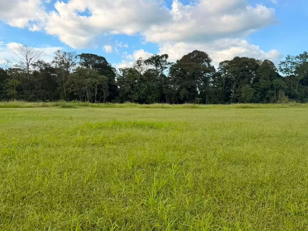 Exclusive lot for sale with view to the Arenal Volcano, San Carlos, photo 5