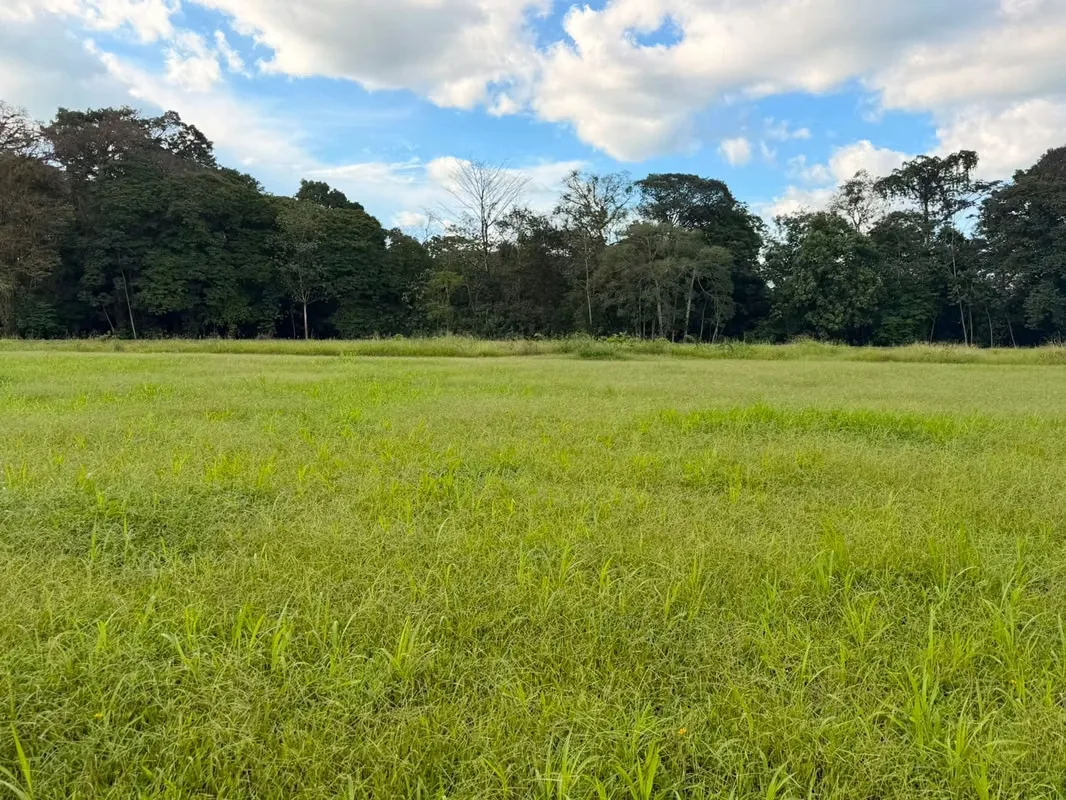 Exclusive lot for sale with view to the Arenal Volcano, San Carlos, photo 7