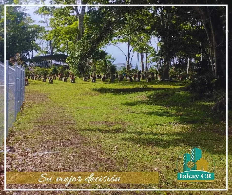 With a location and privileged view