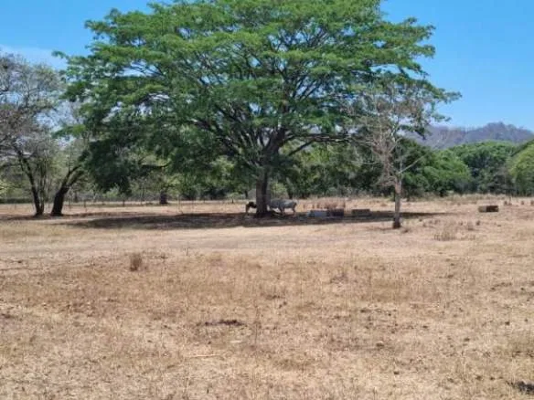 2.2 hectares farm with water available in Portegolpe