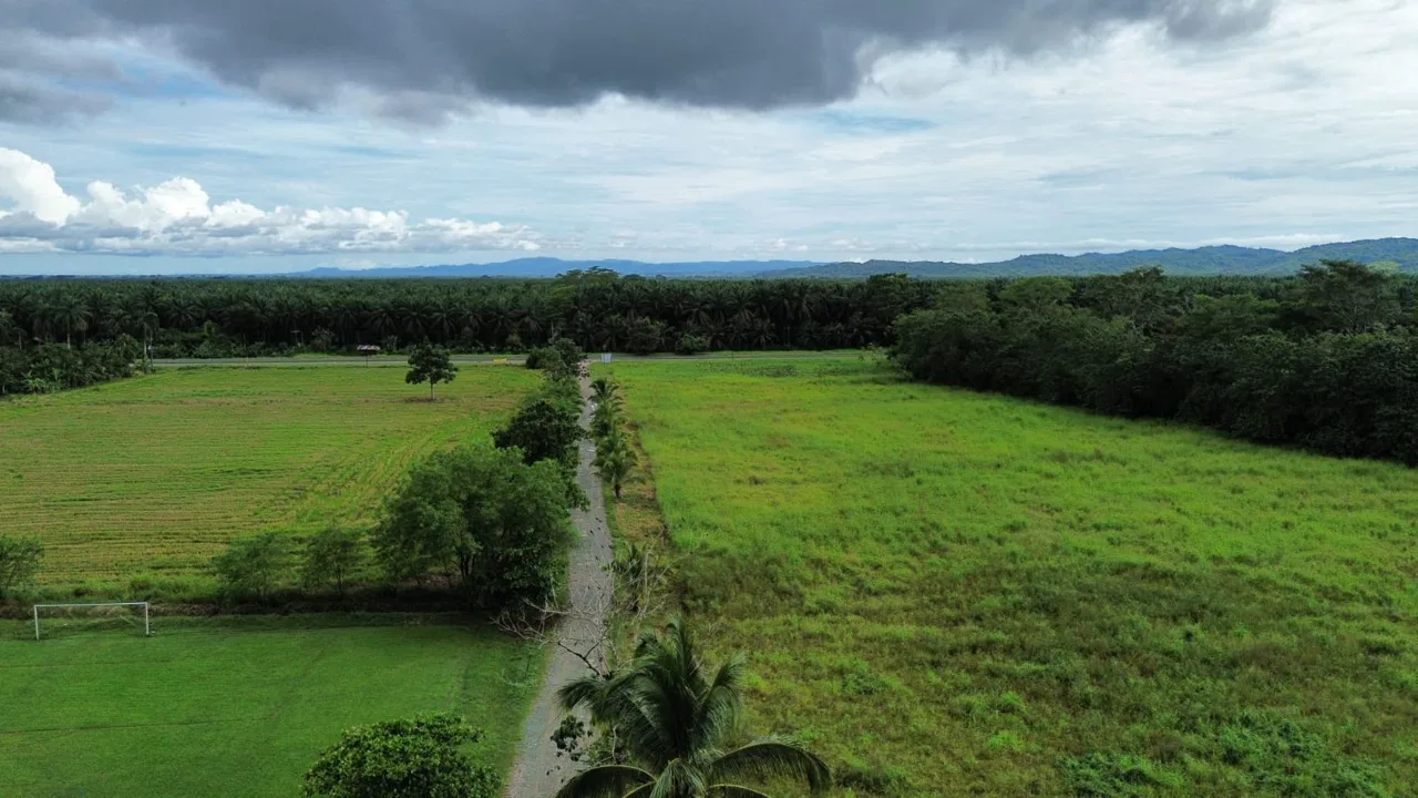 Ideal property for a large-scale real estate or commercial project. - REMAX Jungle Properties | Pavones Golfito Real Estate