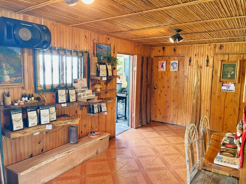 1 Bed Commercial For Sale in Perez Zeledon, photo 11