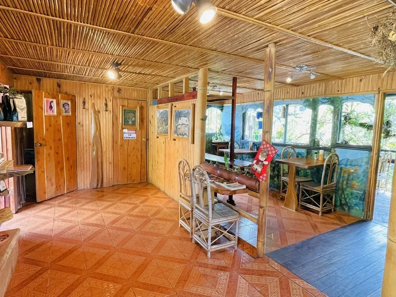 1 Bed Commercial For Sale in Perez Zeledon, photo 6
