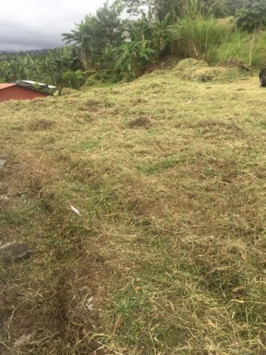 Venta de Lote en Poas, Alajuela. - Venta en Poás