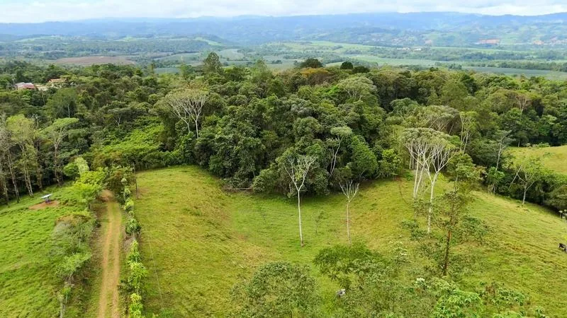 BEAUTIFUL LAND FOR SALE IN THE HEART OF SAN FRANCISCO DE CAJON, 96 ACRES, photo 11