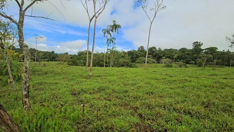 BEAUTIFUL LAND FOR SALE IN THE HEART OF SAN FRANCISCO DE CAJON, 96 ACRES, photo 12
