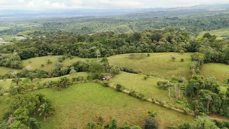 BEAUTIFUL LAND FOR SALE IN THE HEART OF SAN FRANCISCO DE CAJON, 96 ACRES, photo 13