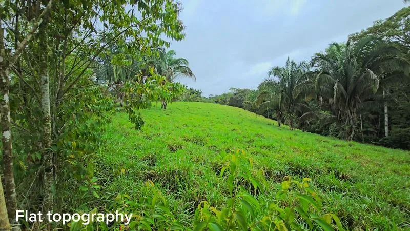 BEAUTIFUL LAND FOR SALE IN THE HEART OF SAN FRANCISCO DE CAJON, 96 ACRES, photo 15