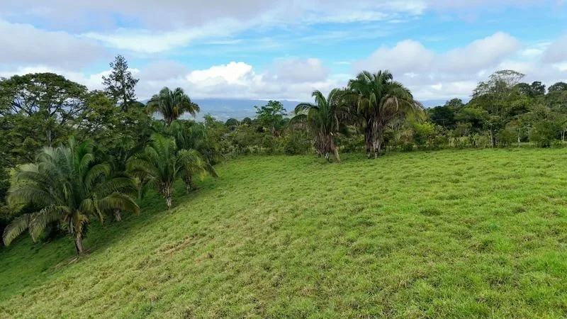 BEAUTIFUL LAND FOR SALE IN THE HEART OF SAN FRANCISCO DE CAJON, 96 ACRES, photo 7