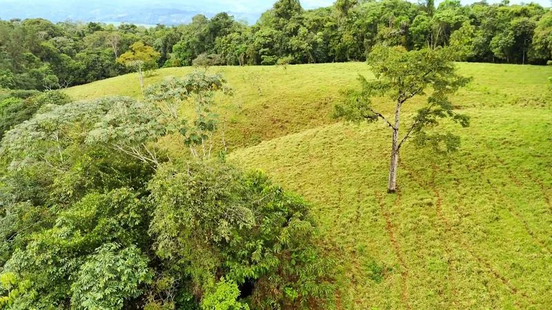 BEAUTIFUL LAND FOR SALE IN THE HEART OF SAN FRANCISCO DE CAJON, 96 ACRES, photo 9