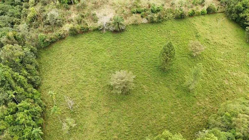 BEAUTIFUL LAND FOR SALE IN THE HEART OF SAN FRANCISCO DE CAJON, 96 ACRES, photo 10