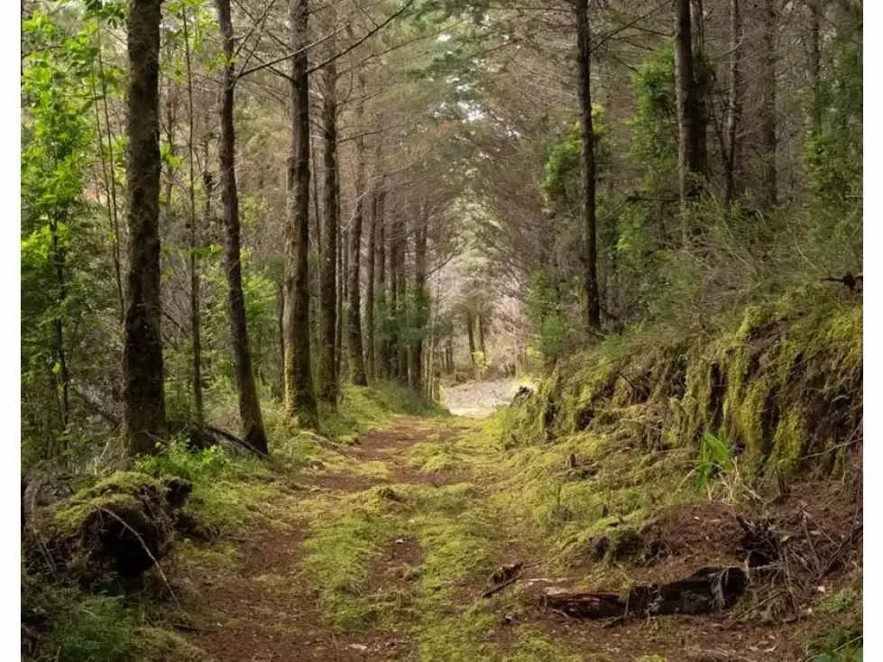 Ubicada en las montañas de Pérez Zeledón, esta extraordinaria finca de 594.9 hectáreas representa una oportunidad única de inversión en conservación y producción sostenible en ..., photo 2
